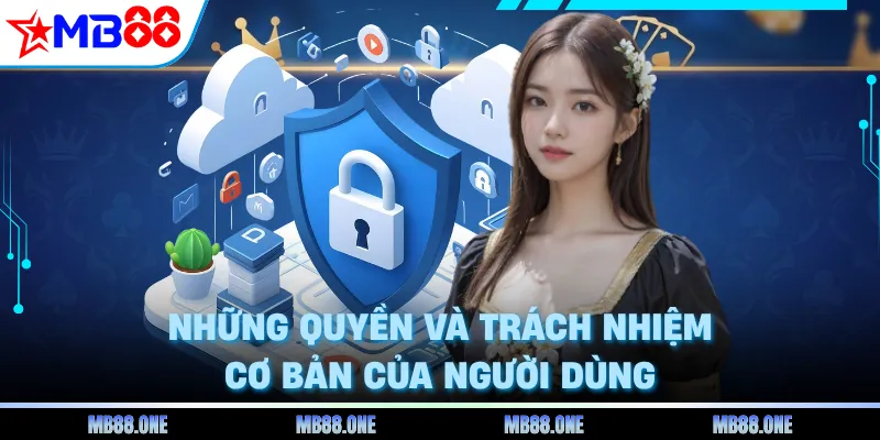 Quyền và nhiệm vụ Cơ bản của người sử dụng